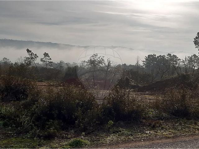 Terreno à venda em Aljubarrota, Alcobaça RE/MAX Portugal