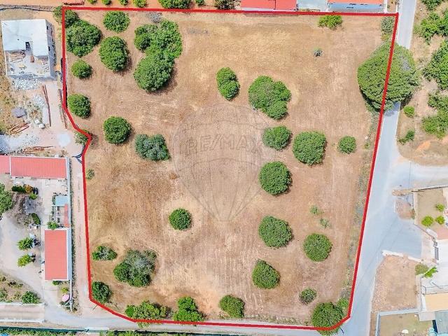 Terreno à venda em Almancil, Loulé RE/MAX Portugal