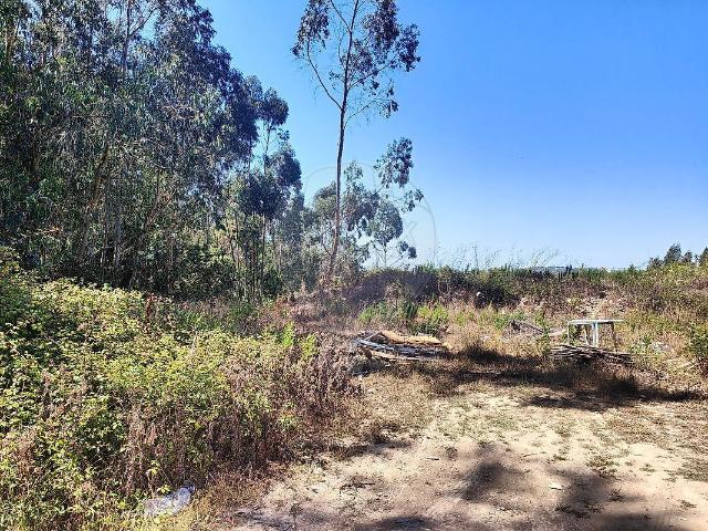 Terreno à venda em Almargem do Bispo, Pêro Pinheiro e Montelavar, Sintra RE/MAX Portugal