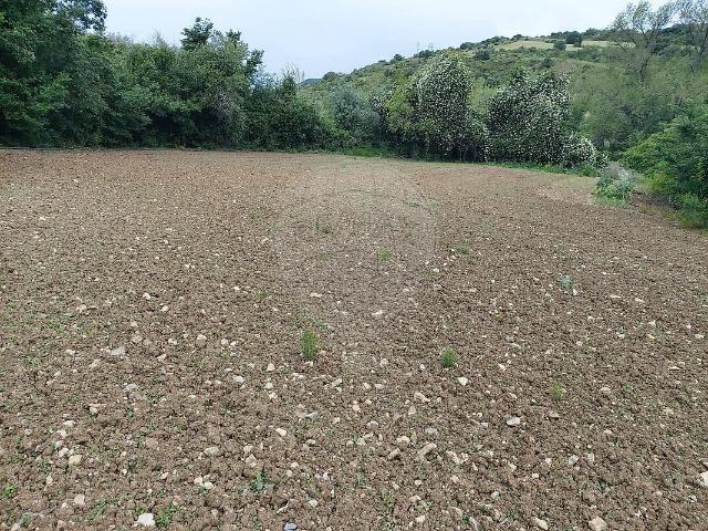 Terreno à venda em Almargem do Bispo, Pêro Pinheiro e Montelavar, Sintra RE/MAX Portugal