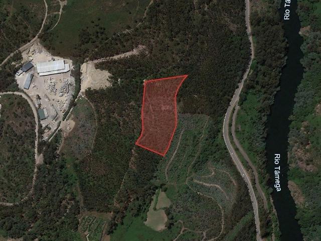 Terreno à venda em Alpendorada, Várzea e Torrão, Marco de Canaveses RE/MAX Portugal