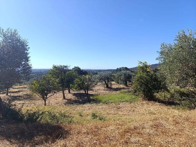 Terreno à venda em Alpedrinha, Fundão RE/MAX Portugal