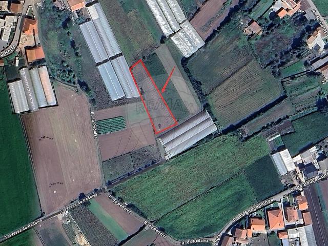 Terreno à venda em Apúlia e Fão, Esposende RE/MAX Portugal