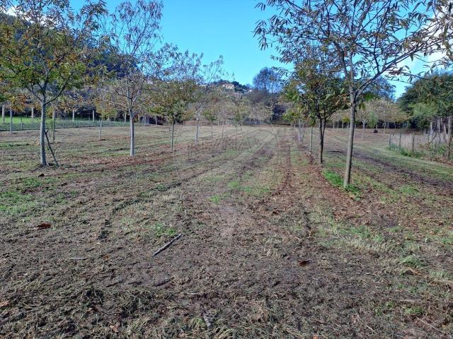 Terreno à venda em Távora Santa Maria e São Vicente, Arcos de Valdevez RE/MAX Portugal