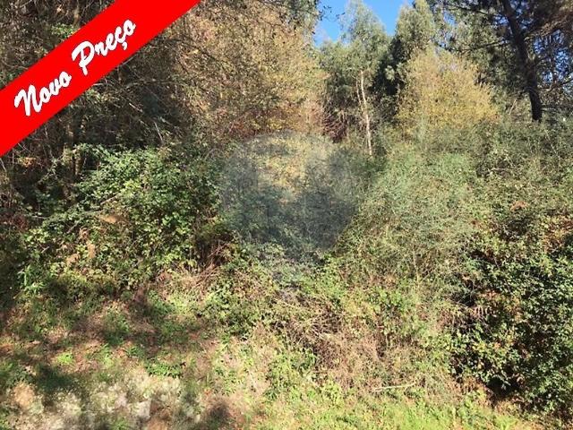 Terreno à venda em Arcos de Valdevez