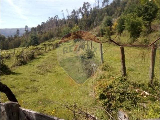Terreno à venda em Arcos de Valdevez