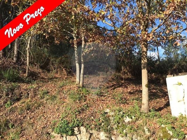 Terreno à venda em Arcos de Valdevez Salvador, Vila Fonche e Parada, Arcos de Valdevez RE/MAX Portugal