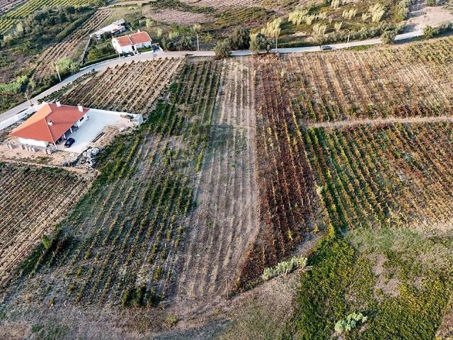 Terreno à venda em Arcos e Mogofores, Anadia RE/MAX Portugal