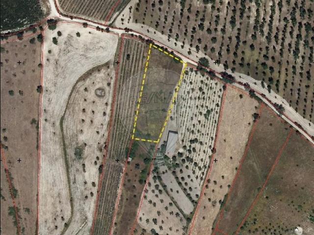 Terreno à venda em Arez e Amieira do Tejo, Nisa RE/MAX Portugal