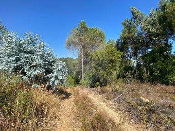 Terreno à venda em Arganil