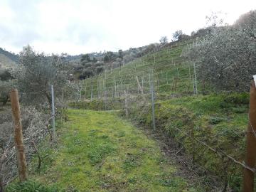 Terreno à venda em Armamar