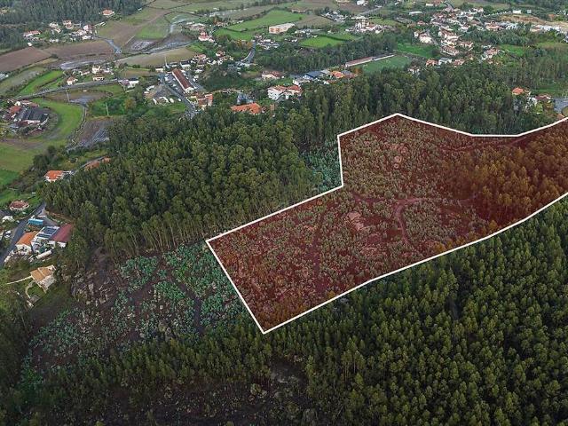 Terreno à venda em Arnoso Santa Maria e Santa Eulália e Sezures, Vila Nova de Famalicão RE/MAX Portugal