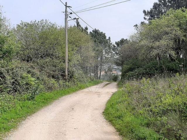 Terreno à venda em Arrifana