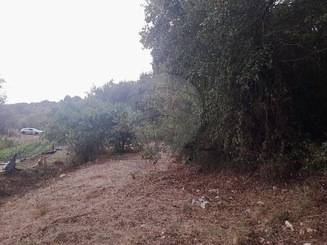 Terreno à venda em Assentiz, Torres Novas RE/MAX Portugal