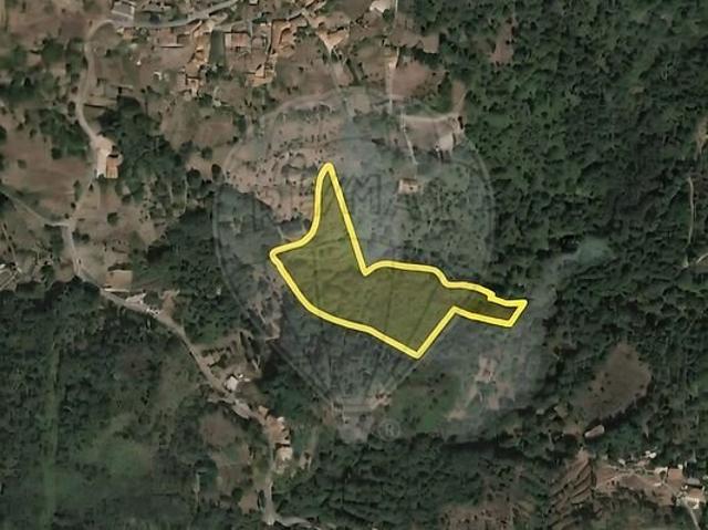 Terreno à venda em Avões, Lamego RE/MAX Portugal