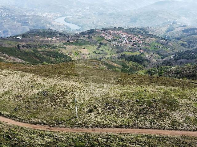 Terreno à venda em Avões, Lamego RE/MAX Portugal
