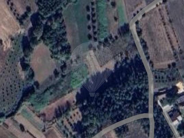 Terreno à venda em Avelãs de Cima, Anadia RE/MAX Portugal