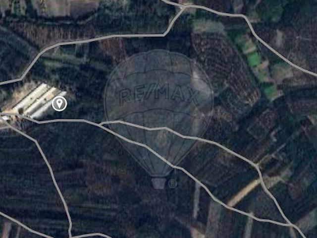 Terreno à venda em Avelãs de Cima, Anadia RE/MAX Portugal