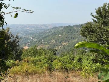 Terreno à Venda em Aviture, Cinfães