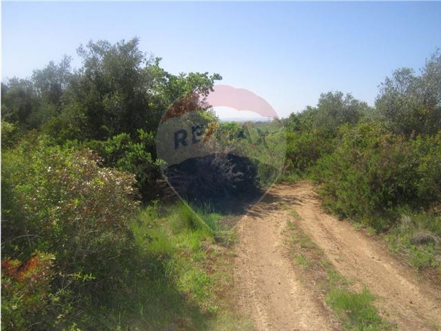 Terreno à venda em Azambuja