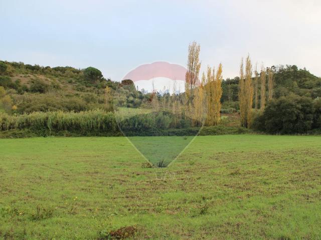 Terreno à venda em Vila Nova de São Pedro