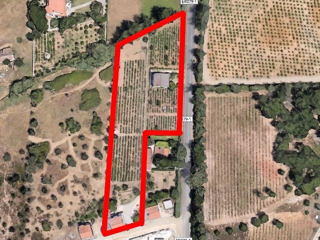 Terreno à venda em Azeitão São Lourenço e São Simão, Setúbal RE/MAX Portugal