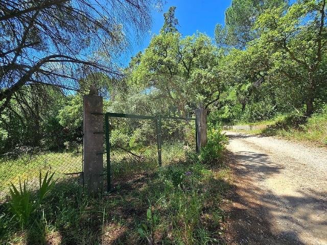 Terreno à venda em Azeitão São Lourenço e São Simão, Setúbal RE/MAX Portugal