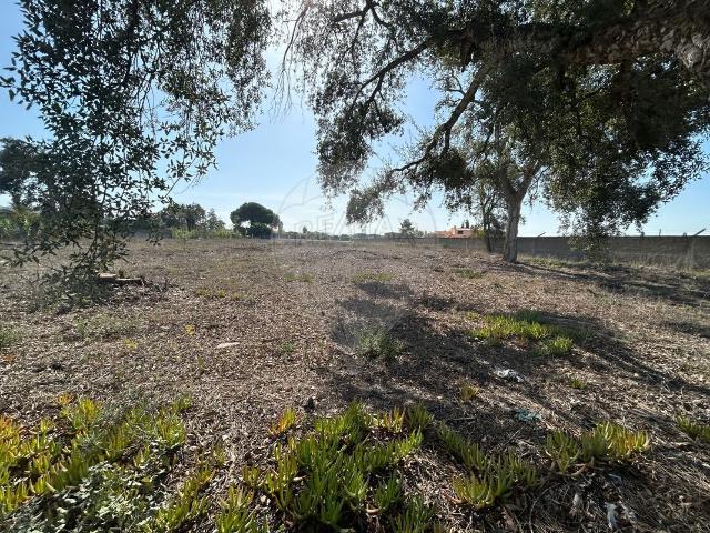 Terreno à venda em Azeitão São Lourenço e São Simão, Setúbal RE/MAX Portugal