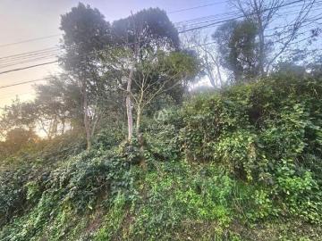 Terreno à venda em Botafogo