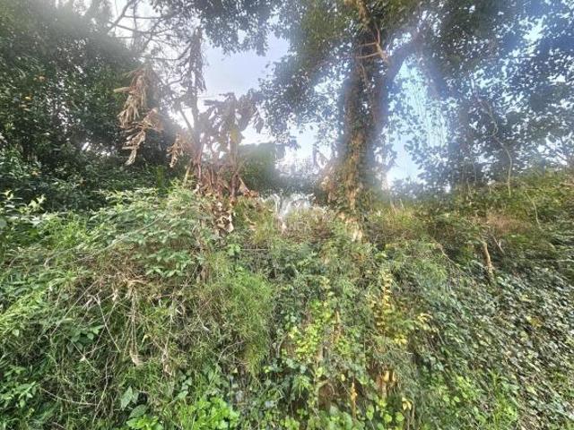 Terreno à venda em Botafogo