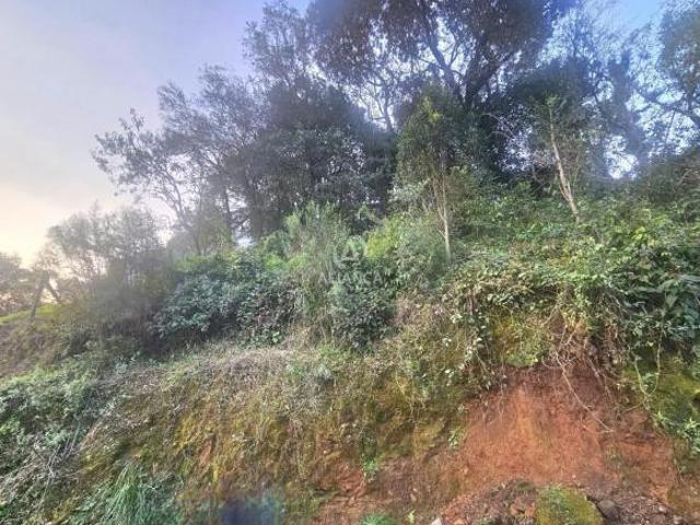 Terreno à venda em Botafogo