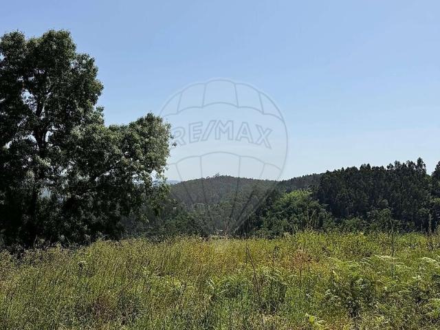 Terreno à venda em Bouro Santa Maria, Amares RE/MAX Portugal