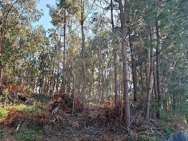 Terreno à venda em Bouro Santa Marta, Amares RE/MAX Portugal