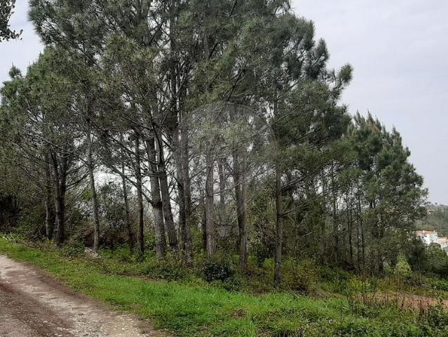 Terreno à venda em Bocal