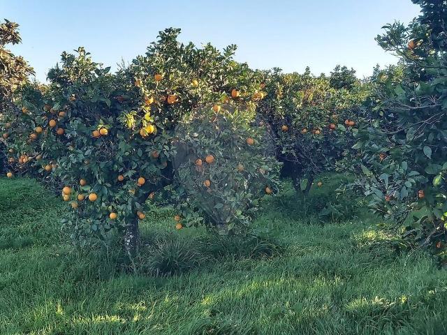 Terreno à venda em Boliqueime, Loulé RE/MAX Portugal