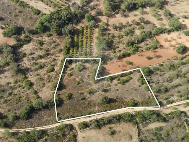 Terreno à venda em Boliqueime, Loulé RE/MAX Portugal