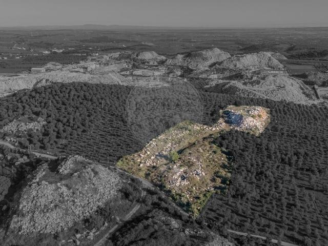 Terreno à venda em Borba