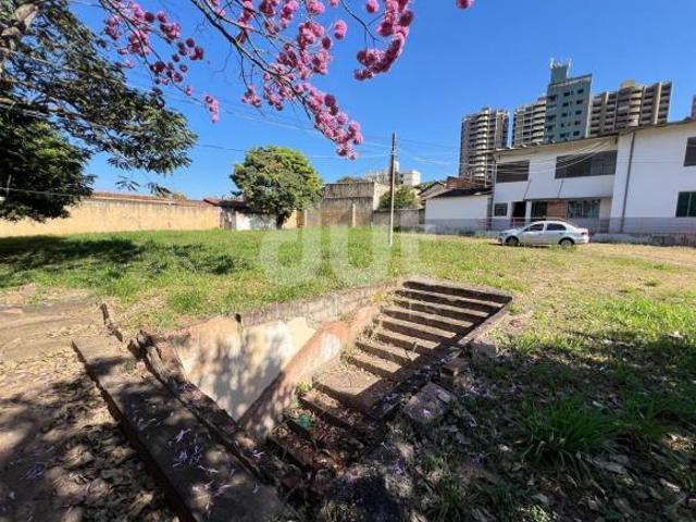 terreno à venda em Bosque