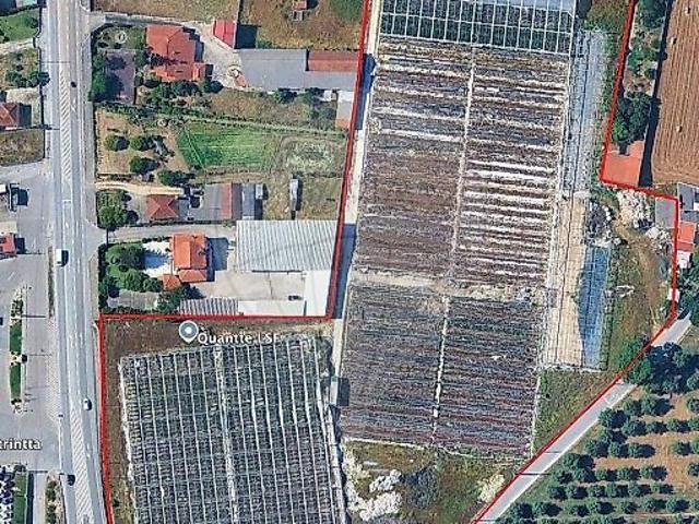 Terreno à venda em Batalha, Batalha RE/MAX Portugal