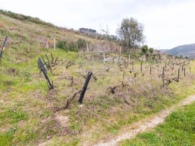 Terreno à venda em Baião