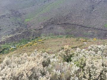Terreno à venda em Baião