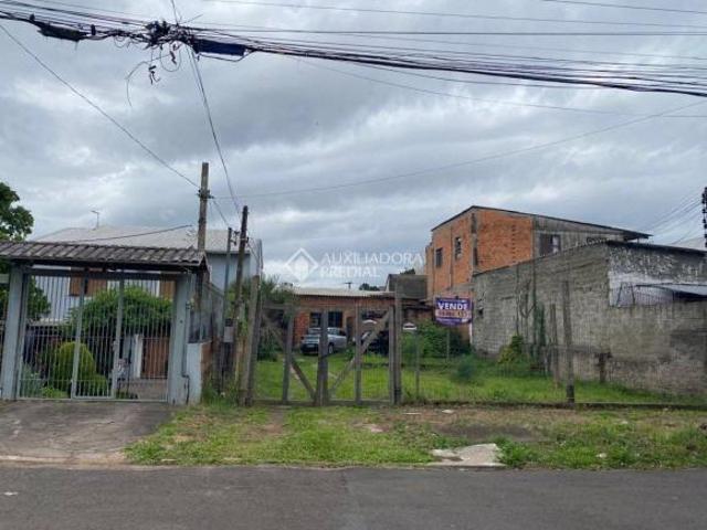 Terreno à venda em bairro: Nossa Senhora das Graças