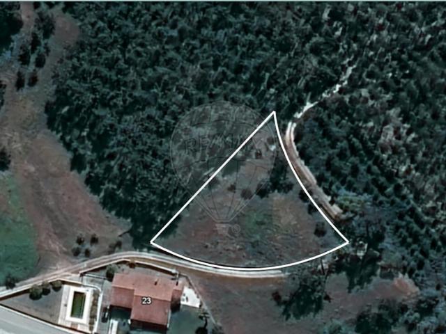 Terreno à venda em Bajouca, Leiria RE/MAX Portugal