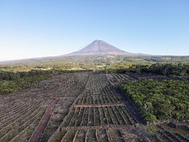 Terreno à venda em Bandeiras, Madalena RE/MAX Portugal