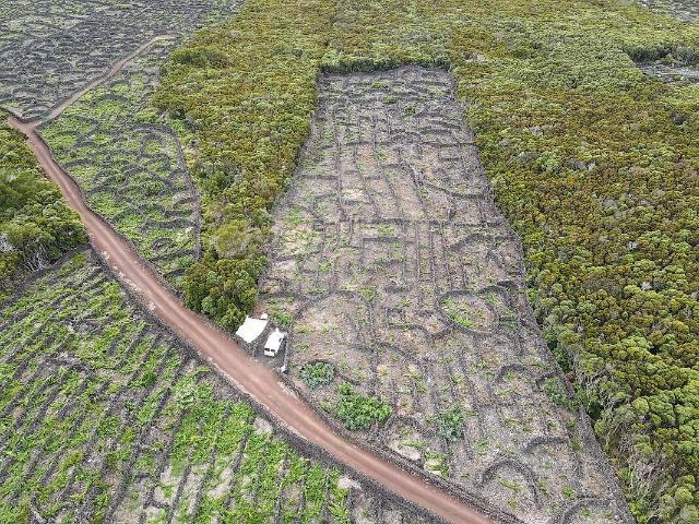 Terreno à venda em Bandeiras, Madalena RE/MAX Portugal