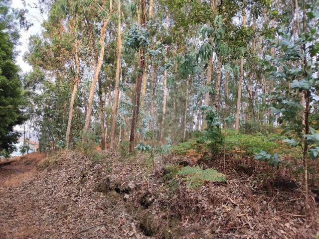 Terreno à venda em Barcelos