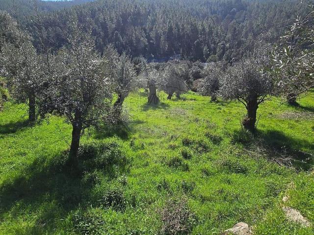 Terreno à venda em Barroca, Fundão RE/MAX Portugal
