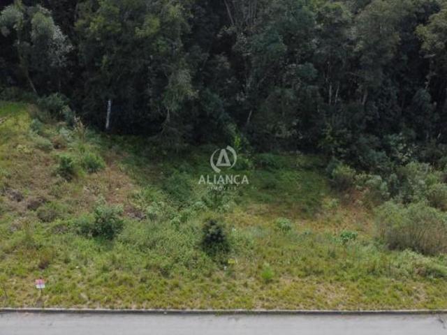 Terreno à venda em Barracão