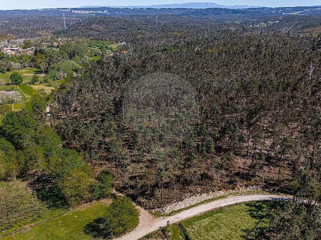 Terreno à venda em Barreiro de Besteiros e Tourigo, Tondela RE/MAX Portugal
