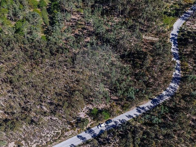 Terreno à venda em Barreiro de Besteiros e Tourigo, Tondela RE/MAX Portugal